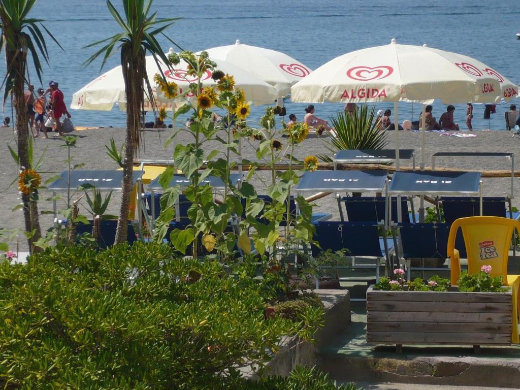 Zi Bak Bed & Breakfast Barano dʼIschia Eksteriør bilde